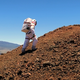 Illustration for article titled Meet the people who would leave Earth and take a one-way trip to Mars